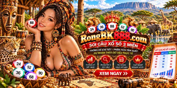 RBK888 Rongbk888 2026 – Khám Phá Những Thay Đổi Trong Cách Tổng Hợp Và Trình Bày Dữ Liệu