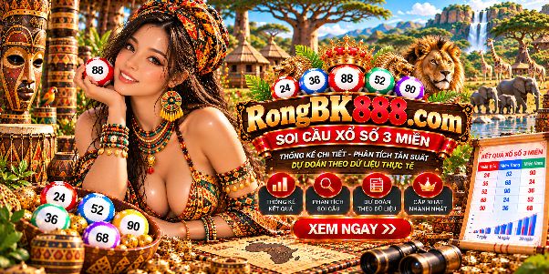 RBK888 Rongbk888 2026 – Khám Phá Những Thay Đổi Trong Cách Tổng Hợp Và Trình Bày Dữ Liệu